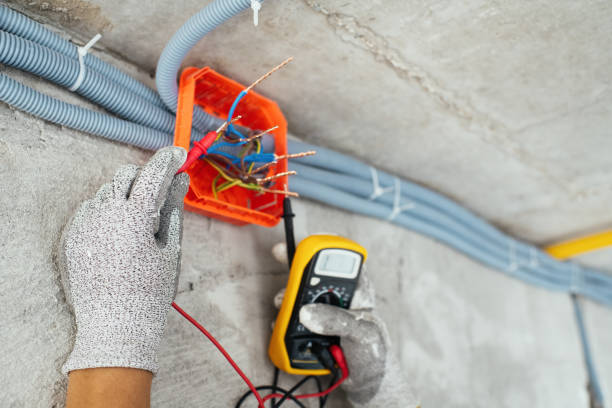 Best Electric Panel Repair  in Clinton, WI